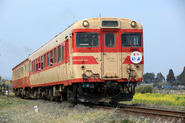 3/13)いすみからの小湊鐵道撮影 TRAVAIR Railway Photograph