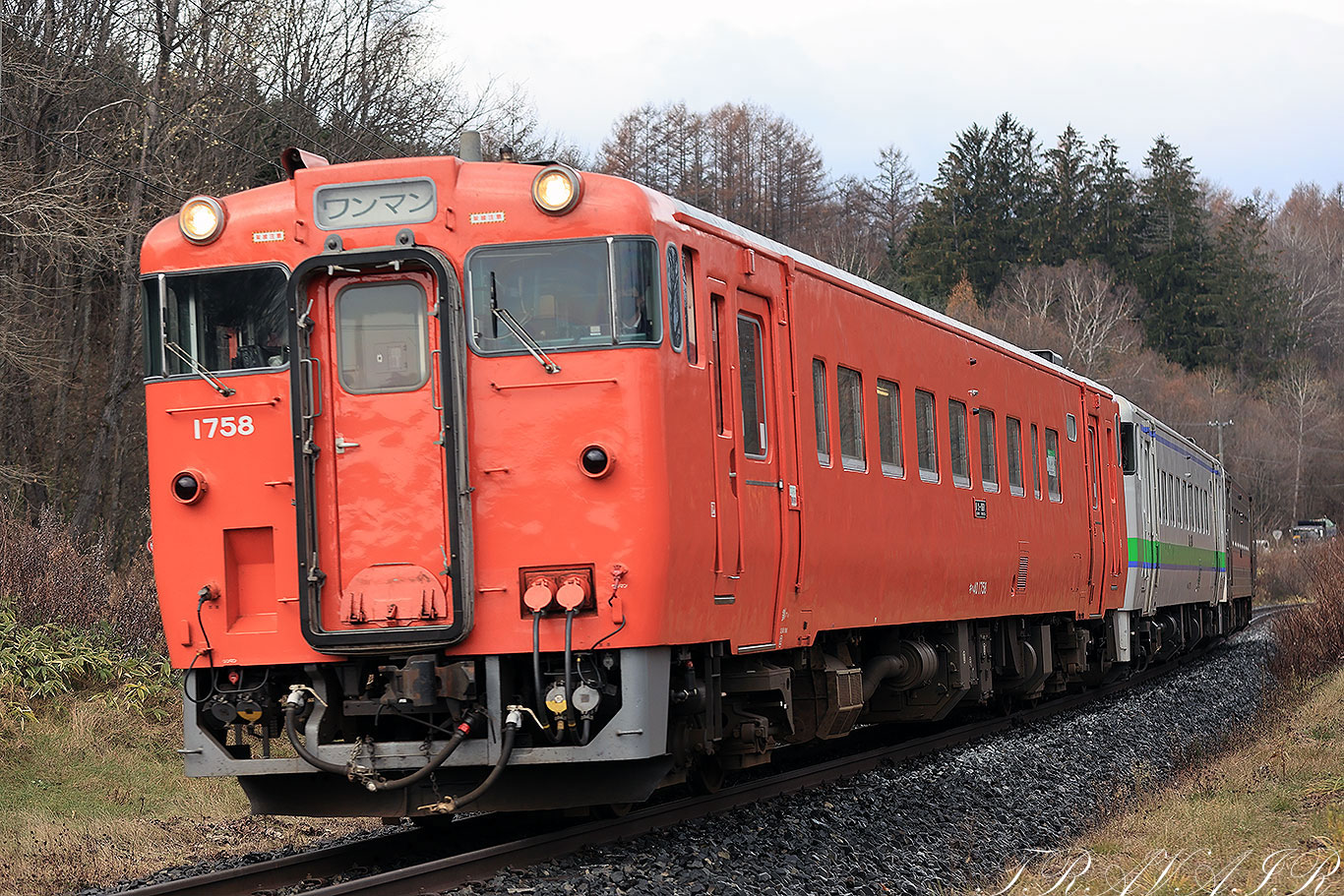 11/12)玉ねぎ貨物を撮る～北海道遠征③ TRAVAIR Railway Photograph