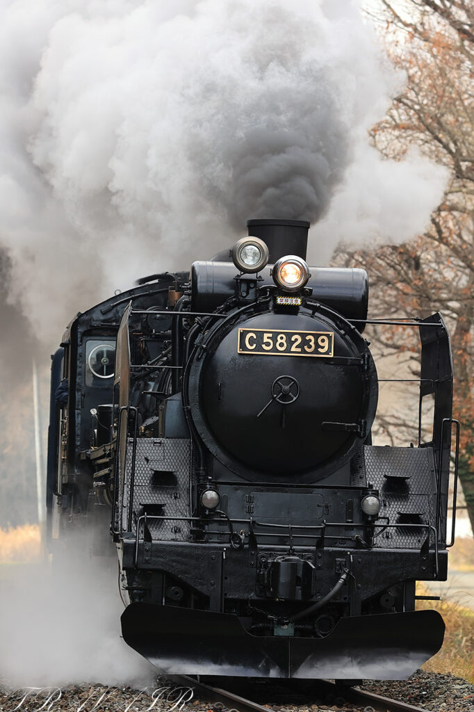 11/26)HMなしのC58-239「SL銀河」 | TRAVAIR Railway Photograph