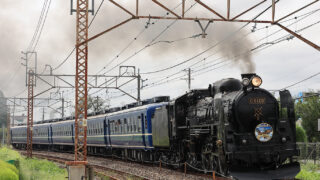 SLの写真 Our current rotation from @adidasoriginals, featuring Trinidad