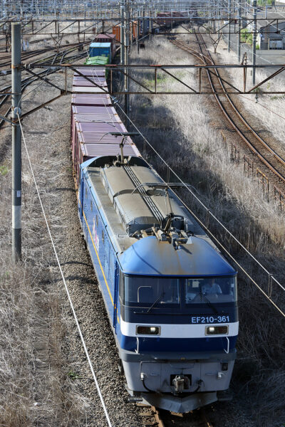 2024.6.16 15:57撮影 4073レ 東京貨物ターミナル駅