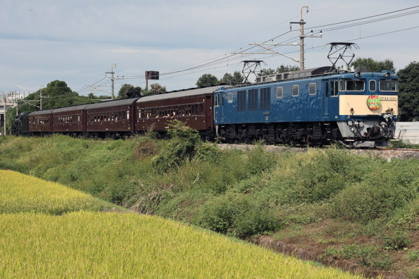 EF64-1001ELレトロ桐生