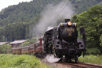 SLパレオ 5001レ 白久～三峰口間
