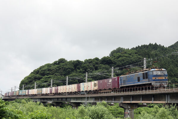 EF510-501