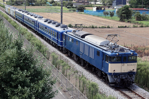 EF64-1031