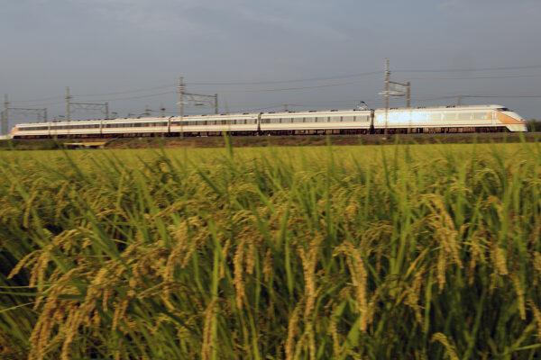 100系