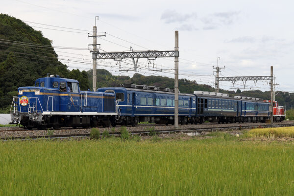 DE10-1109　 回5950レ 楡木～東武金崎間