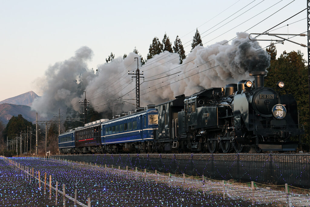 12/13)SL大樹イルミネーション運転① | TRAVAIR Railway Photograph