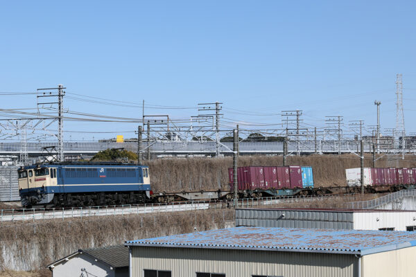 2026.1.31 13:30撮影 75レ 松戸~金町間